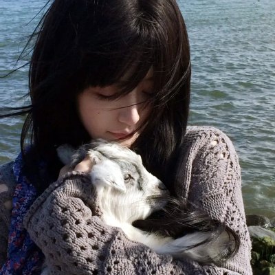 柳绿花红
